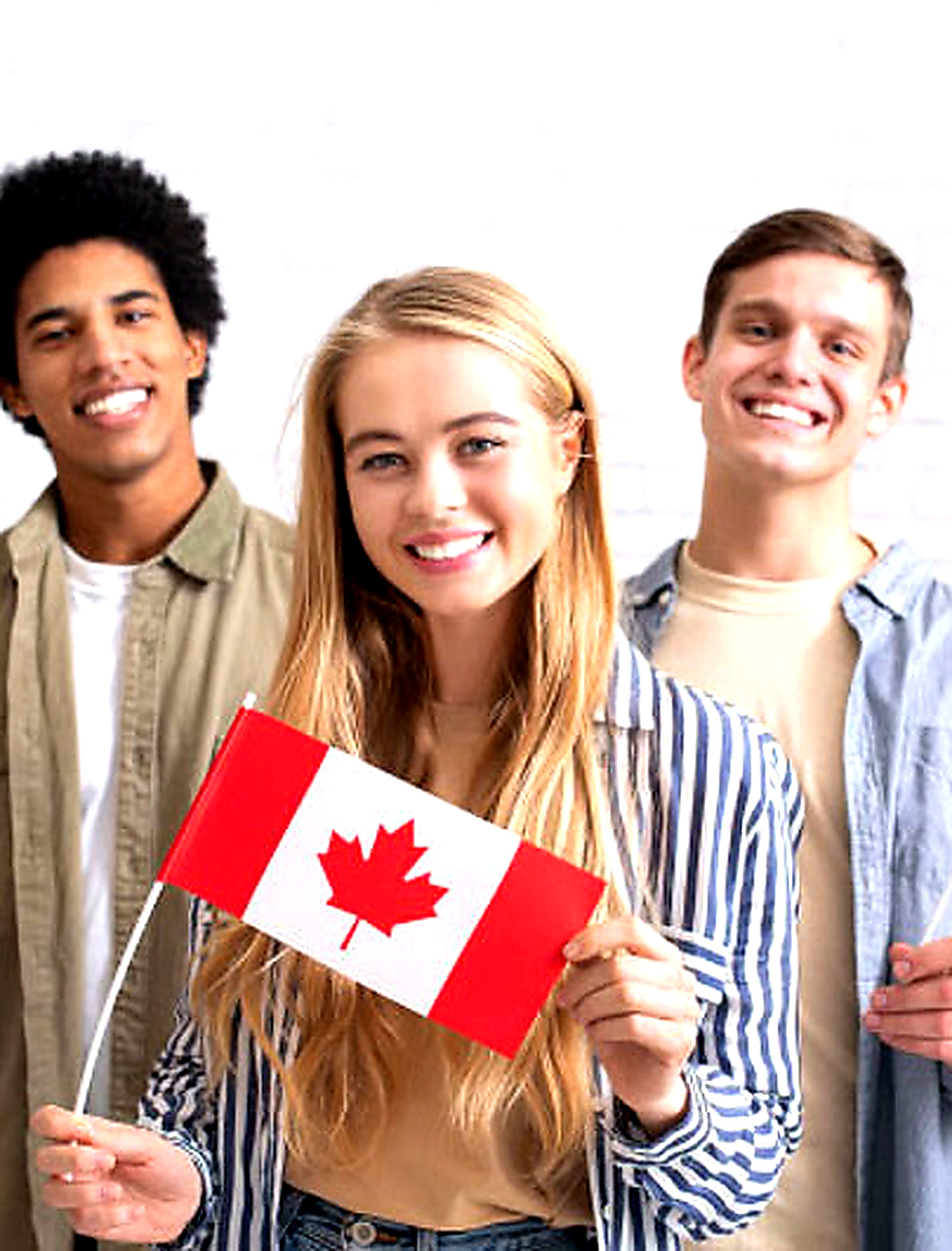 VID Danmark Student Exchange